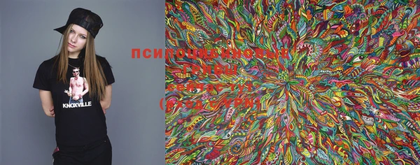 PSILOCYBIN Балахна