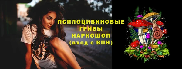 PSILOCYBIN Балахна