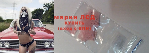 PSILOCYBIN Балахна