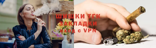 PSILOCYBIN Балахна