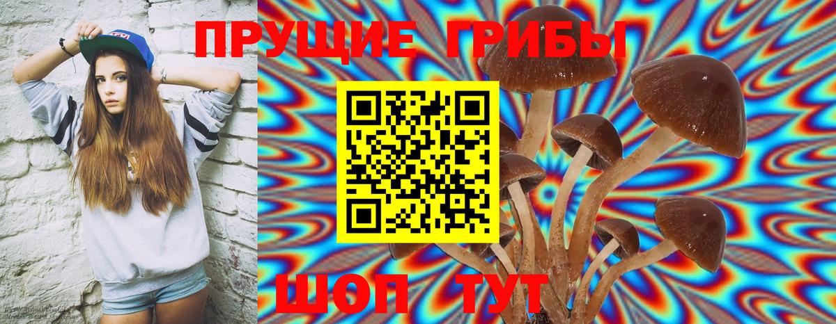 Галлюциногенные грибы GOLDEN TEACHER Кировск