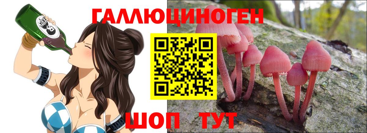 Галлюциногенные грибы Cubensis  Вход с VPN  Кировск 