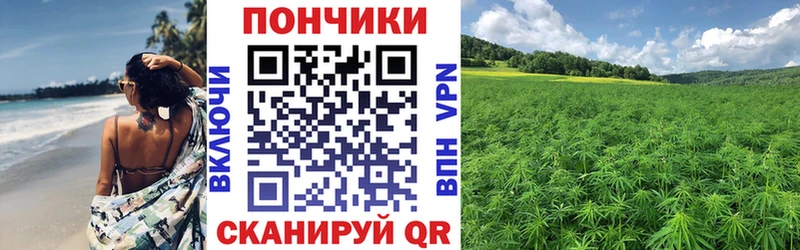 Конопля гибрид нарко площадка телеграм Кировск купить закладку